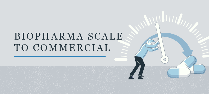 scale to commercial
